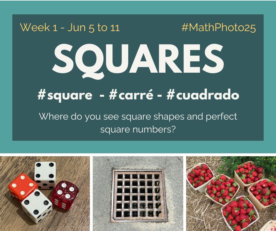 The week one prompt of the Math Photo Challenge. Look for squares. Where to you see square shapes and perfect square numbers? Example photos are dice with square faces and the perfect square number 4 on top, a square sewer grate and square pint boxes of fresh summer strawberries.