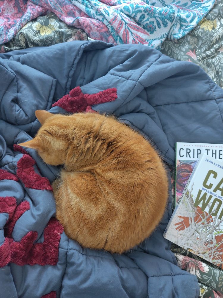 Orange cat asleep on a bed with a grey weighted blanket, she is sleeping with her head face down into the blanket and is asleep next to a copy of "Care Work, dreaming disability justice" by Leah Lakshmi Piepzna-Samarasinha and Crip Theory by Robert McRuer 
