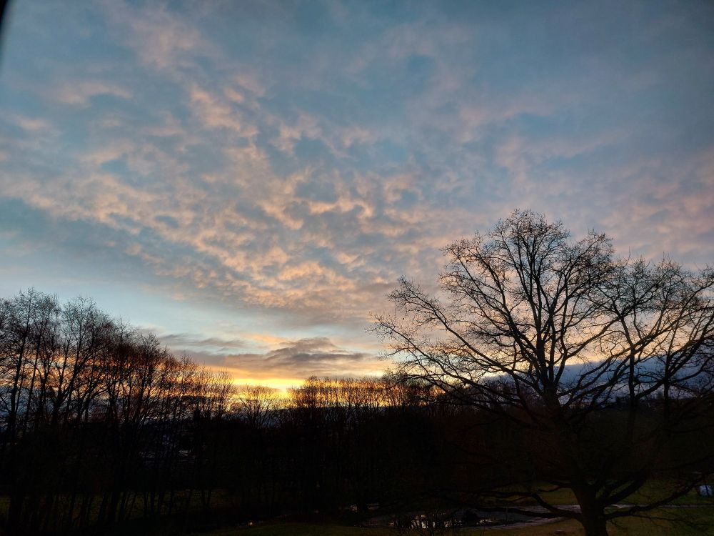 Hinter der Silhouette lautlos Bäume geht am Horizont die Sonne auf. Darüber sind am blauen Himmel kleine, von der Sonne beleuchtete Wolken zu sehen.
