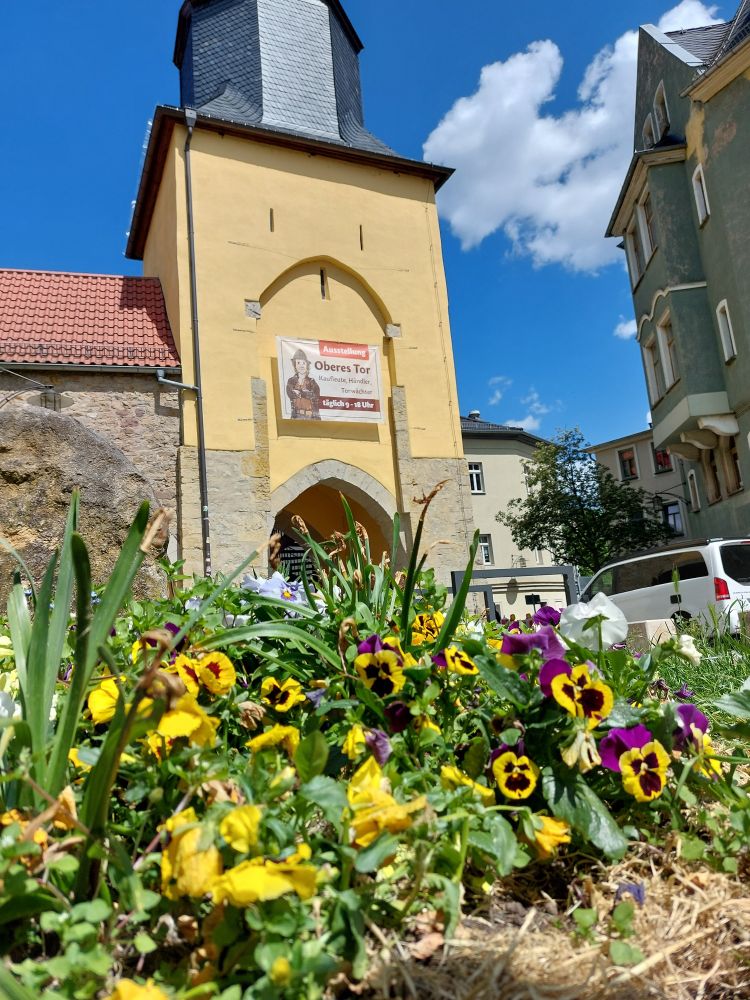 Ein mittelalterliches Stadttor, im oberen Teil ist es gelb abgeputzt.
Im Vordergrund ist ein Beet Stiefmütterchen zu sehen, über welches der Blick zum Stadttor geht.

