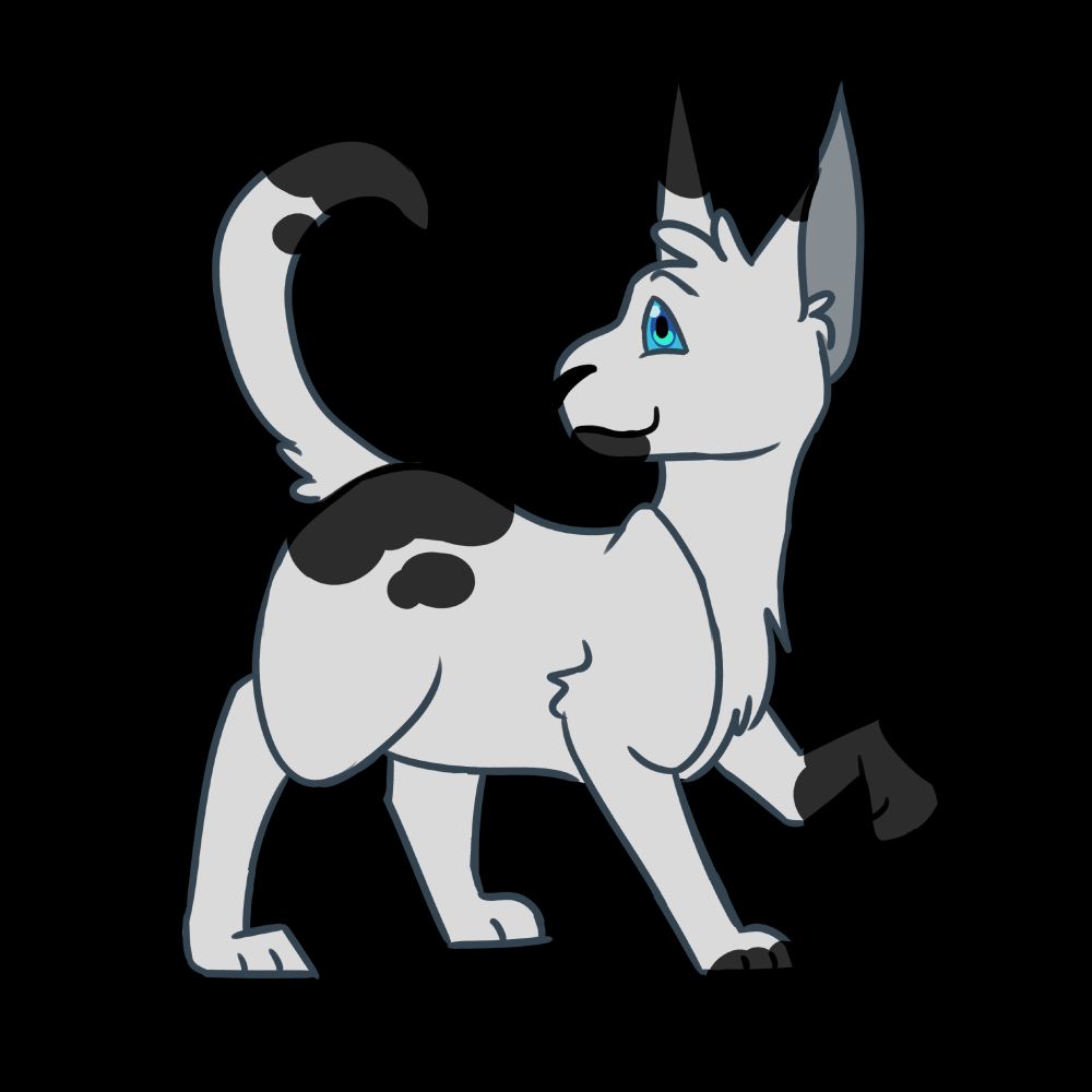 Drawing of a black-and-white tomcat with blue eyes