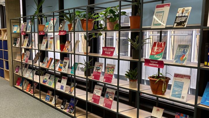 Display shelves with plants, books and posters signposting resources for PGCE students.