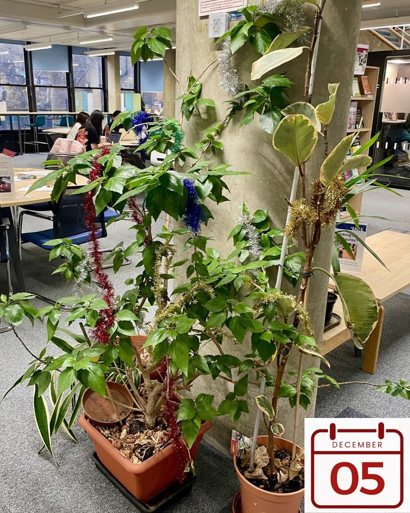 Plant with multicoloured tinsel draped on it. 