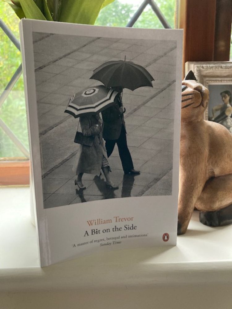A Bit on the Side by William Trevor