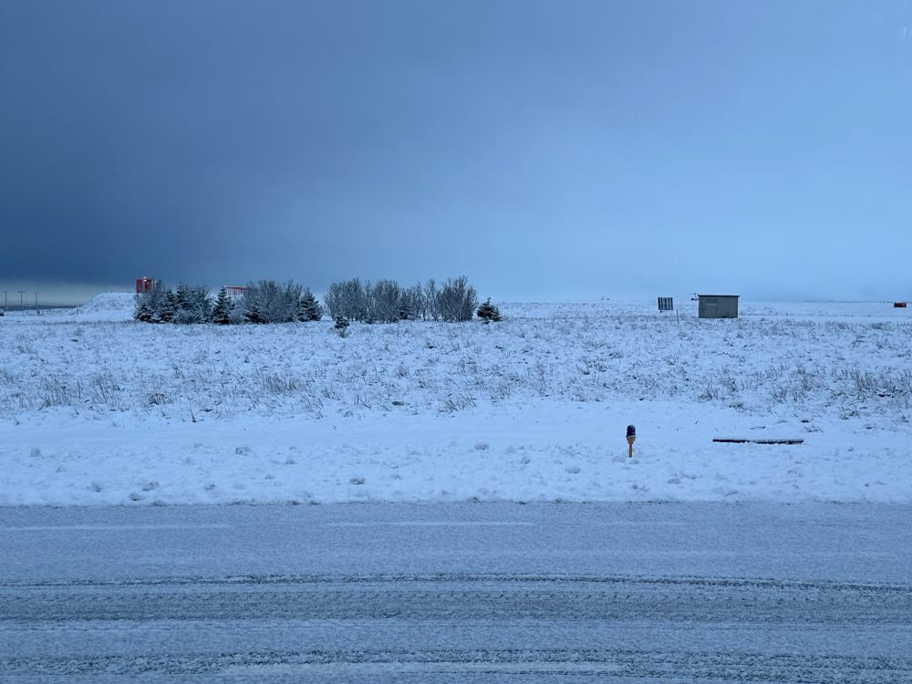 snow, some trees, some road. frosty vibes