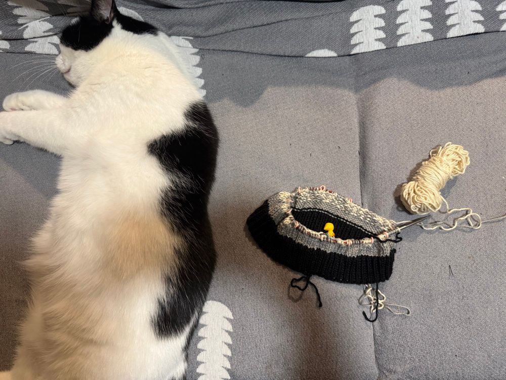 A sleeping black and mostly white cat laying next to a partially knit beanie in black gray and cream. 