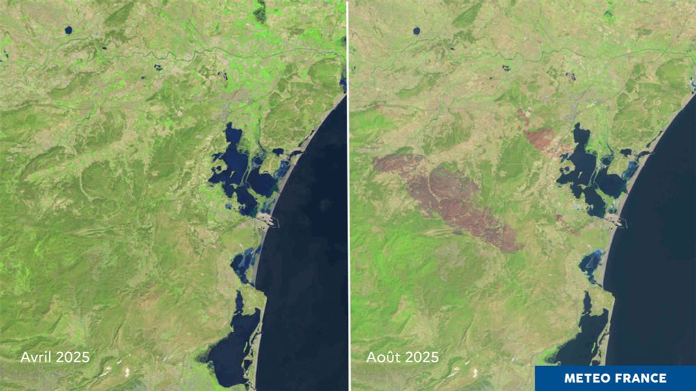 Comparatif de deux images satellites, l'une prise en avril, l'autre en août, montrant l'étendue des paysages dévastés par des incendies cet été 2025 dans l'Aude.