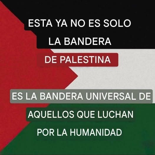 La bandera Palestina se ha convertido en la bandera por la humanidad 