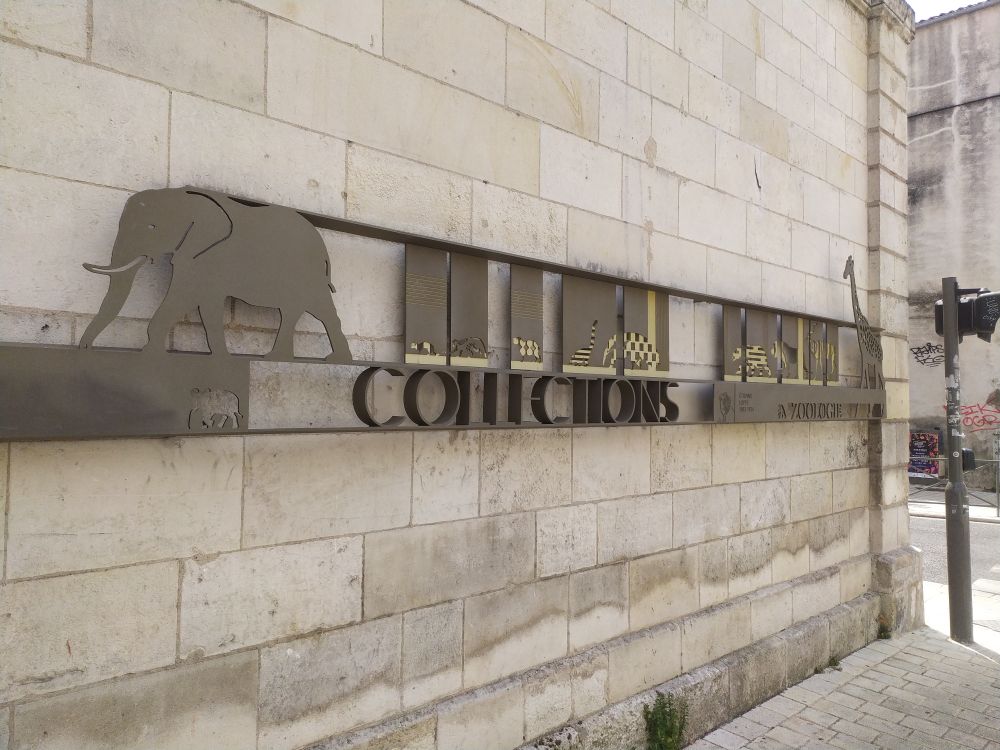 Photo de l'entrée du muséum d'histoire naturelle de la Rochelle