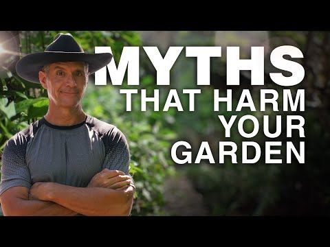 5 Gardening Myths That Could Be Hurting Your Garden