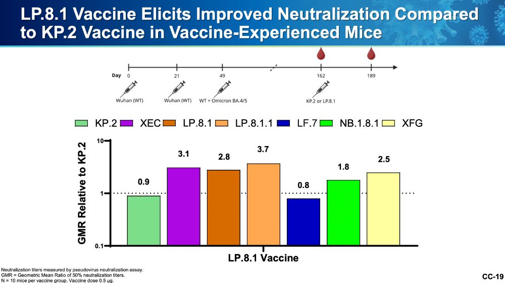 GMFRs for mice receiving LP.8.1 relative to KP.2 mRNA vaccine following 2 doses of ancestral, 1 dose of BA.5 bivalent, and then the KP.2 or LP.8.1 vaccine. KP.2 has an advantage for LF.7 and KP.2 (but it's slight- 0.8 and 0.9 GMFR respectively) For XEC, LP.8.1, LP.8.1.1, NB.1.8.1, and XFG, LP.8.1 has the advantage (GMFRs 3.1, 2.8, 3.7, 1.8, and 2.5 respectively)
