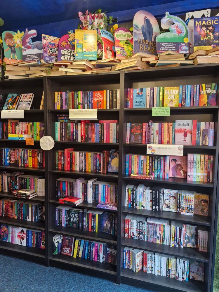 Photo of teen and young adult and manga shelves in Wonderland Bookshop. 