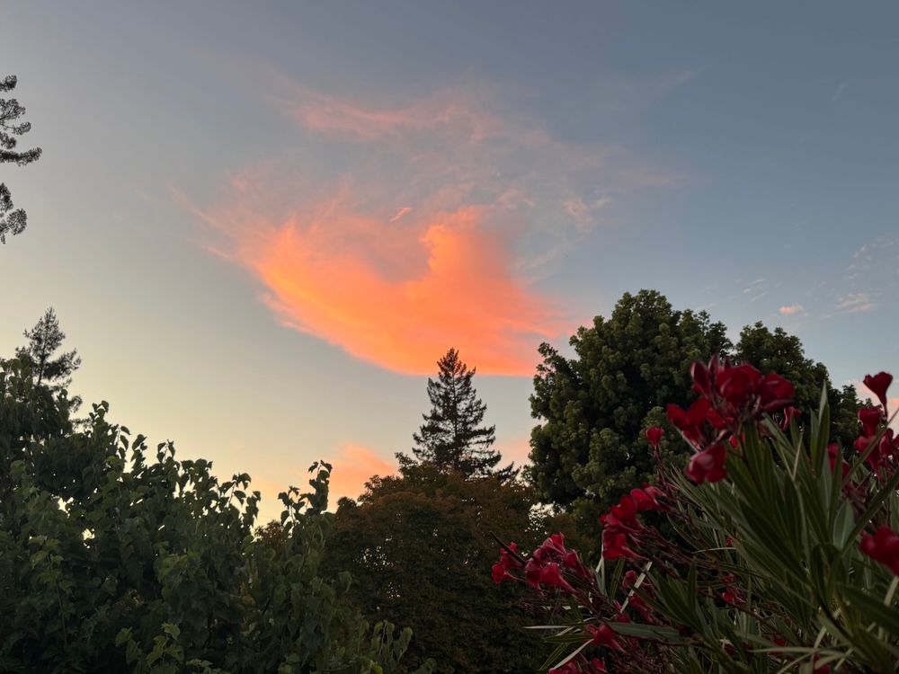 Orange clouds in the shape of a wing