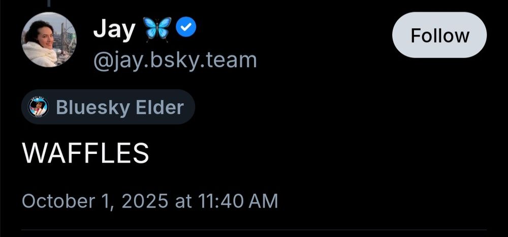 @jay.bsky.team 's "waffles" skeet