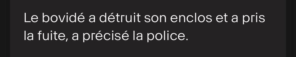 Le bovidé a détruit son enclos et a pris la fuite, a précisé la police.