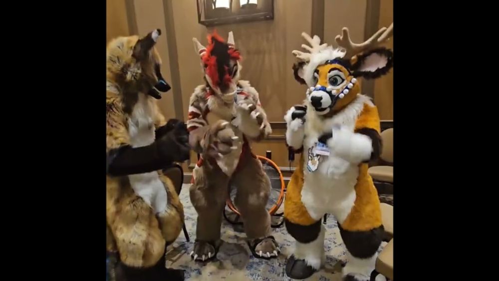 I was with good company at TFF :3