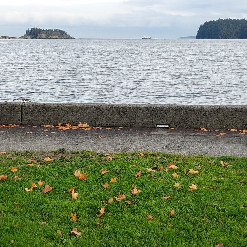 Green grass, maple leaves, the Pacific Ocean at Departure Bay, Nanaimo, BC.