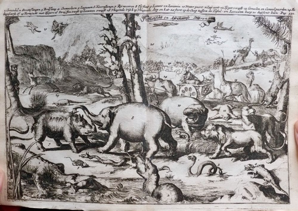 Black and white etching of various animals, with an elephant, hippo and rino in the middle