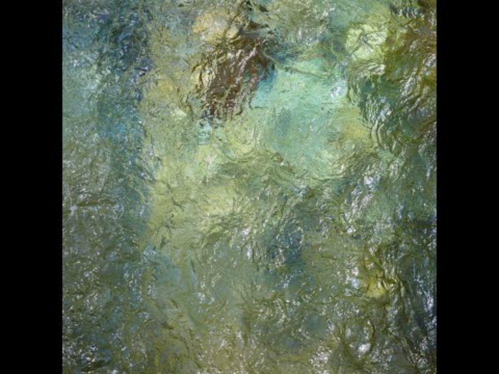 Les Rivières - Renaud TARLET