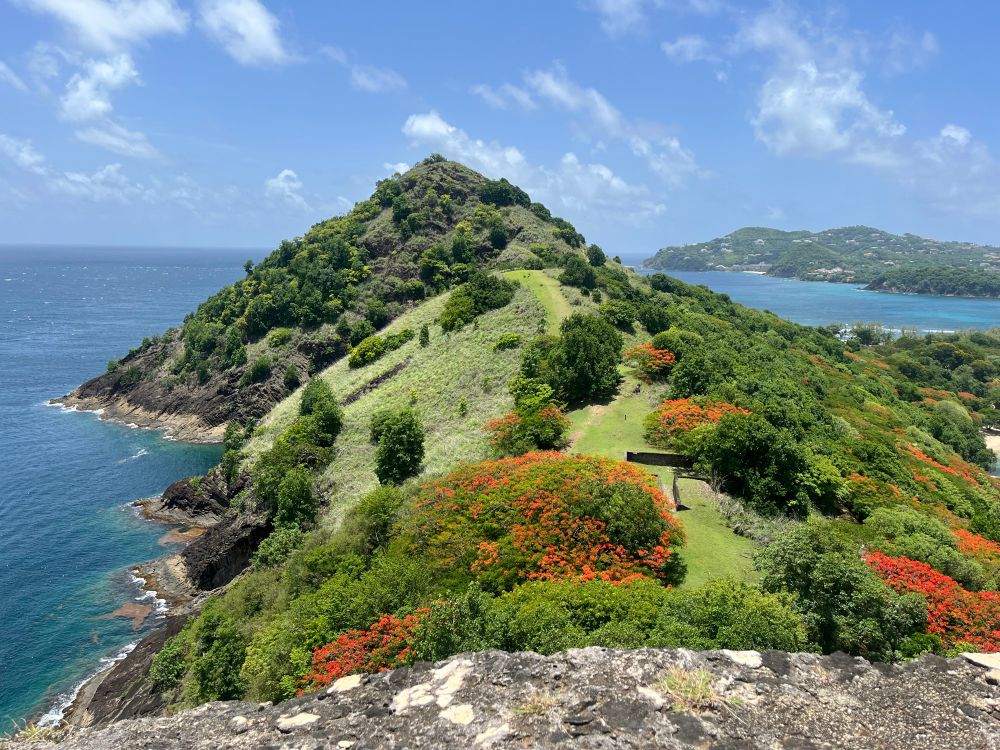 Photograph from Fort Rodney, St Lucia, of Signal Peak, Pigeon island. Bright red flowers of the Flamboyant trees in the foreground.