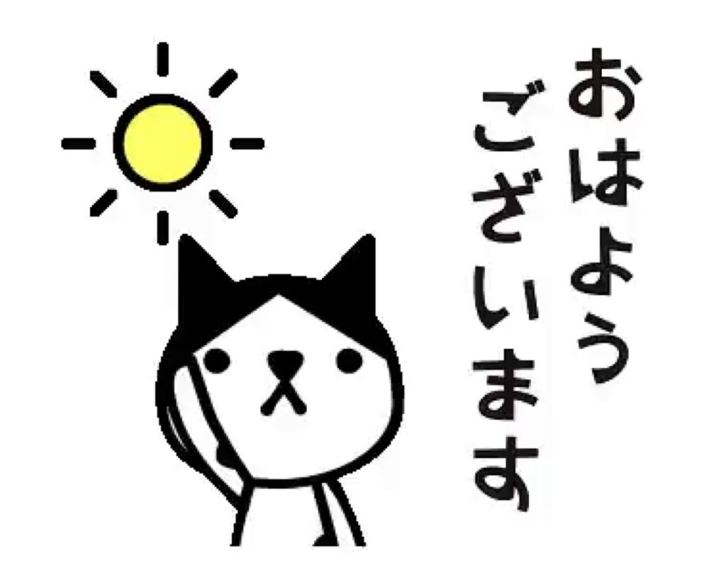 a black and white cat is standing in front of a sun with chinese writing on it .