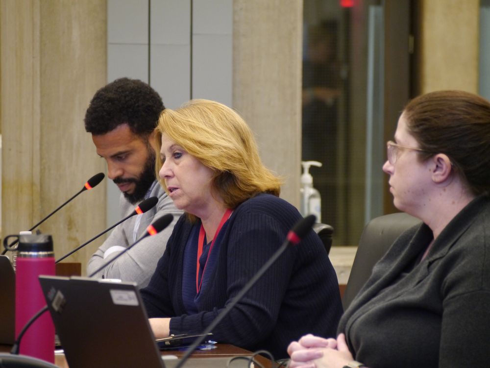 Boston Public Schools Superintendent Mary Skipper addressed city councillors during a Monday hearing at City Hall. Looking on are education consultant Colin Rose and Monica Hogan, BPS Chief of Data, Information and Systems Improvement. Photo by Yawu Miller