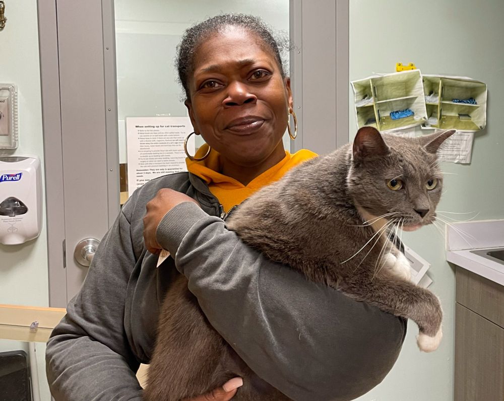 'Fats' the cat reunited with his owner Tolga Shields. Photos courtesy ARL Boston