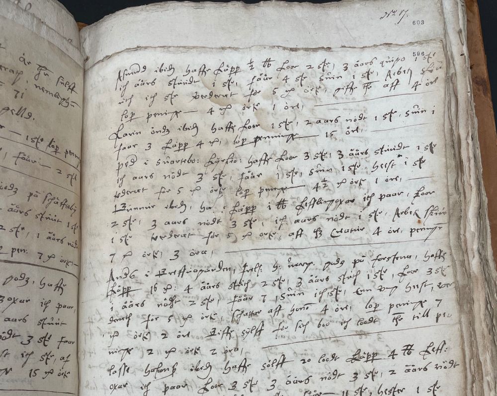 Utdrag ur Älvsborgs lösen 1571, visar en sida med ett antal hushåll i norra Västergötland och vad de ägde i form av koppar, silver, kor, hästar, får, med mera.