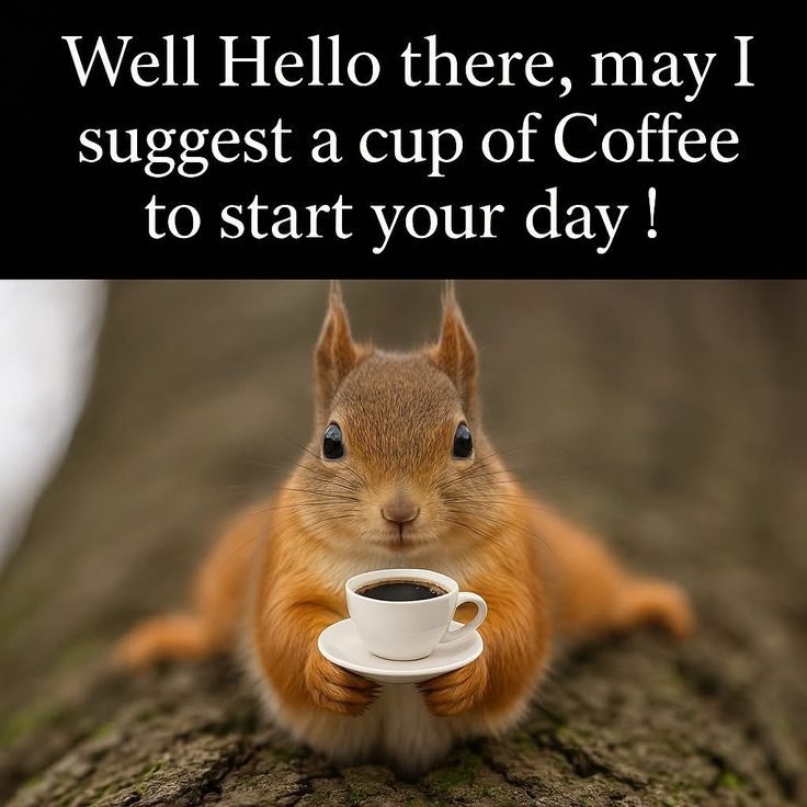 Coffee meme