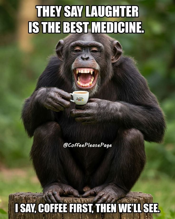 Coffee meme