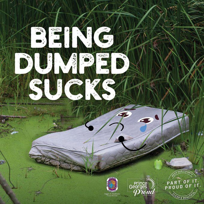 Sad mattress in nature looking at BEING DUMPED SUCKS