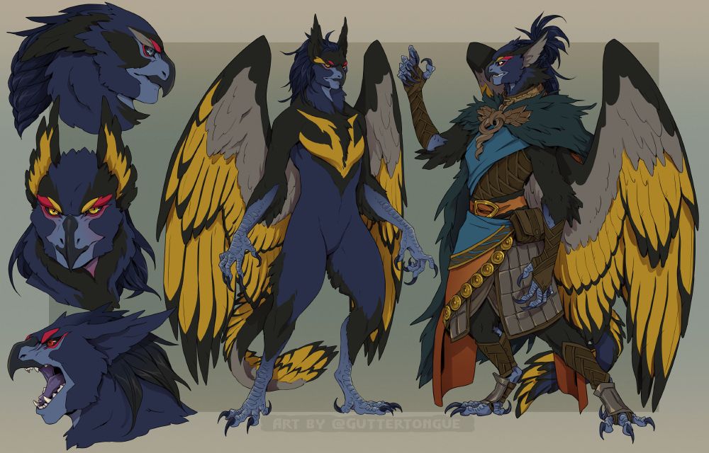 Birdfolk species design sheet - they have a mix of dark blue, yellow, grey and black feathering and red brow markings. Their faces are a mix of beak and mammal/humanoid. #art 🖌️