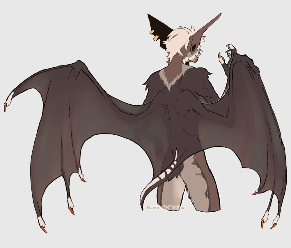 Back view of Cor. The back of his wings are a dark brown, his tail has spine bone like patterns in a light cream colour