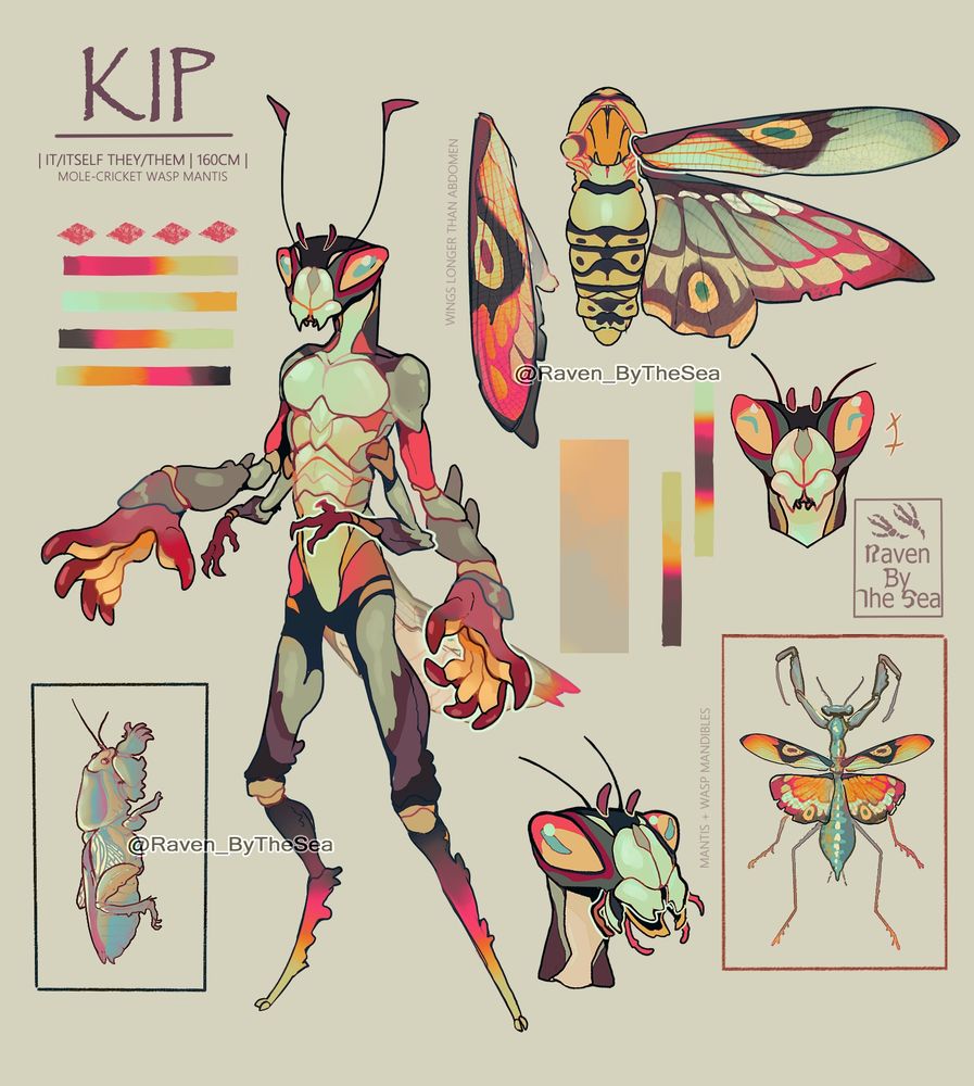 A ref sheet for a colourful thri-kreen
