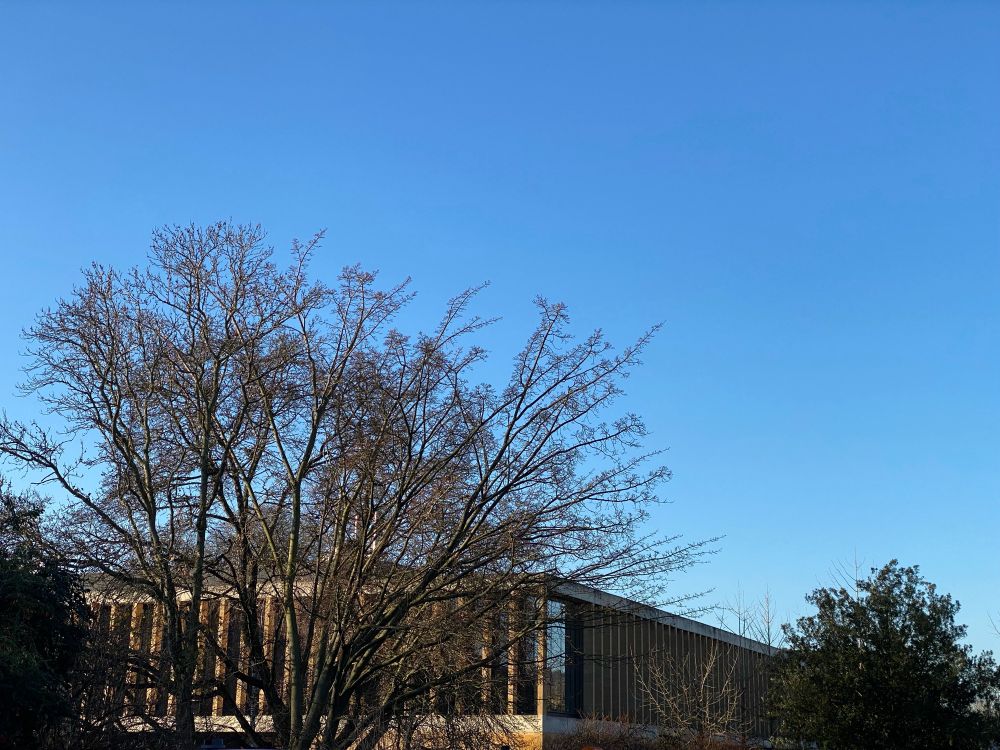 Picture of a blue sky above the Sainsbury Laboratory in Cambridge