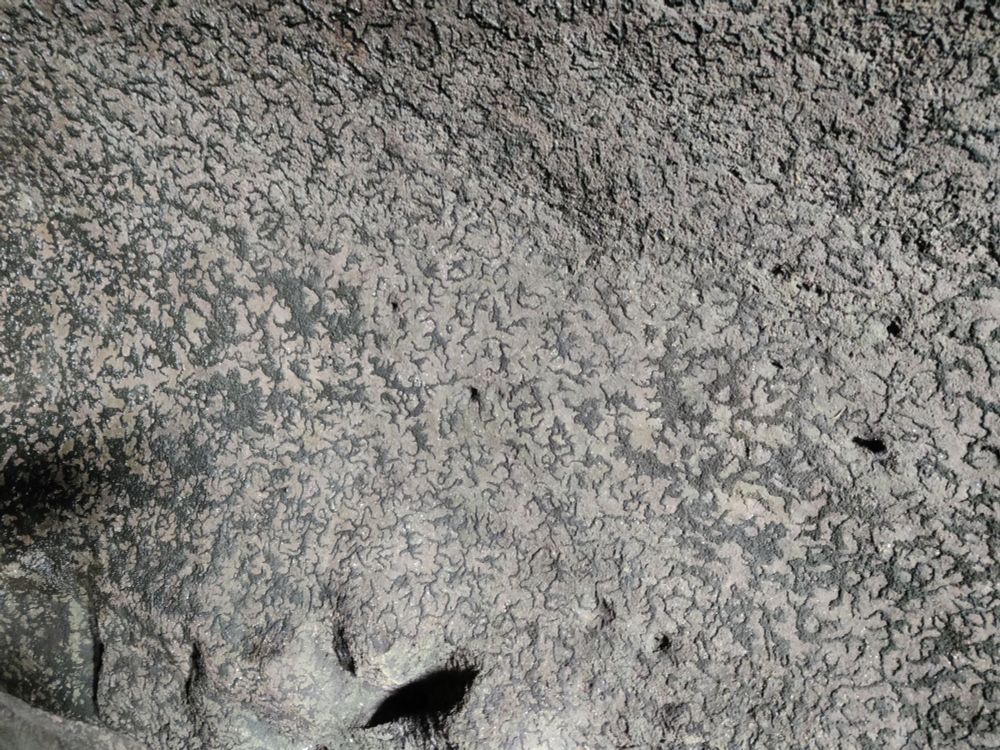 Crazed organic patterns on a cave wall