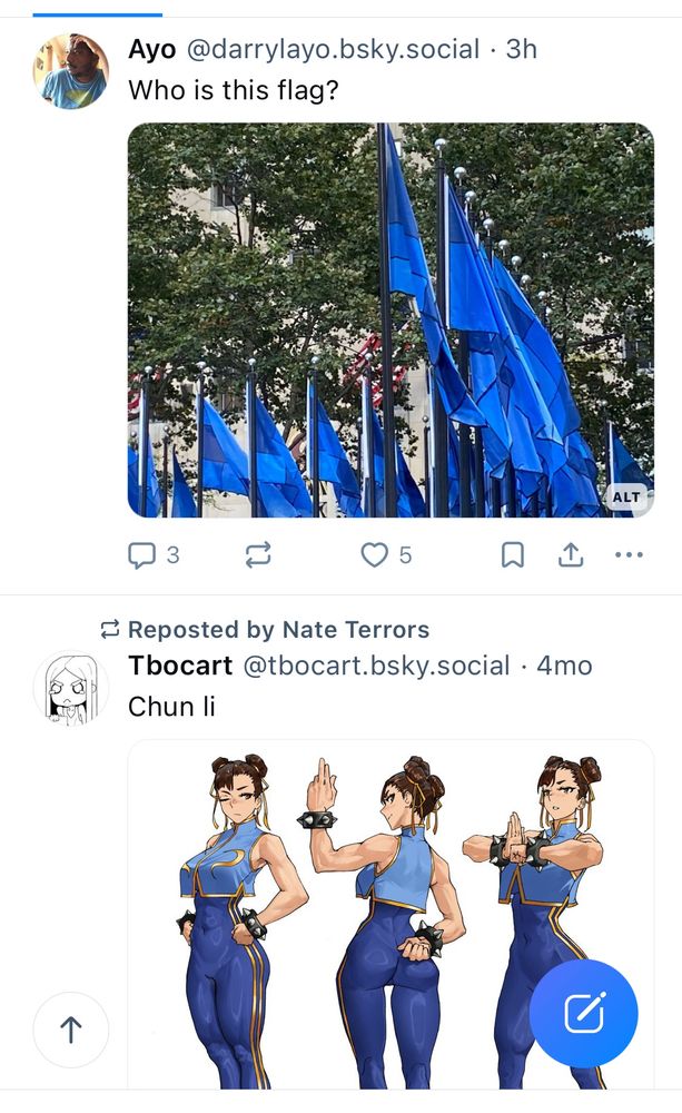 Post by Ayo: “who is this flag” with a picture of several flags with three shades of blue. Below is a post by Tbocart: “Chun Li” with a picture of Chun Li from Street Fighter wearing a similar shade of blue