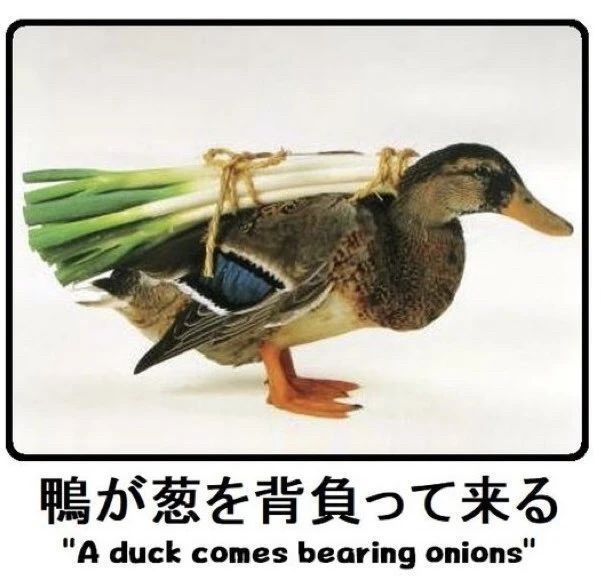 picture of a duck with sticks of onion? tied to it 

Captioned “A duck comes bearing onions”