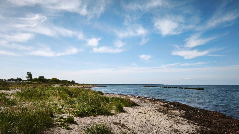 Mit Gras bewachsener Sandstrand, ruhige Ostsee, blauer Himmel mit weißen Wölkchen 
