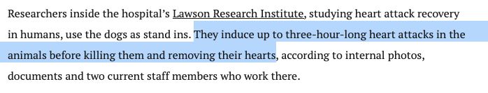 Screen cap from article describing how researchers at the hospital induce three-hour-long heart attacks then kill the dogs and remove their hearts.