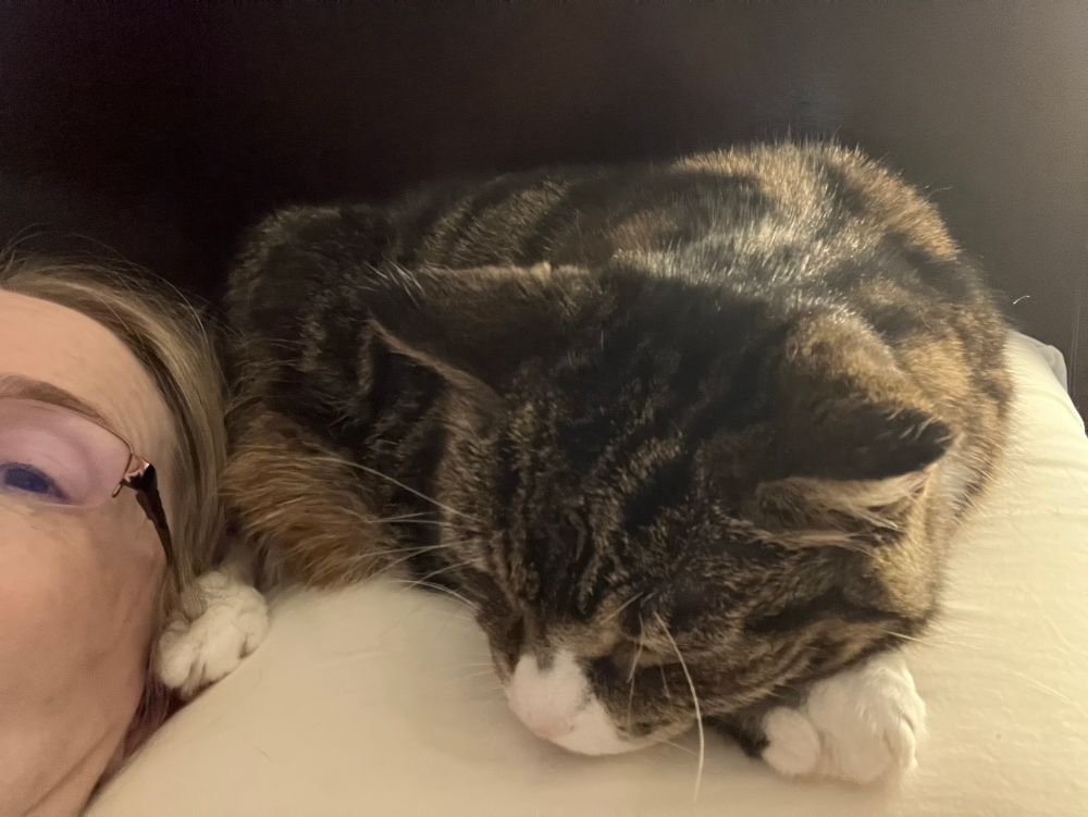 Grabbity on my pillow