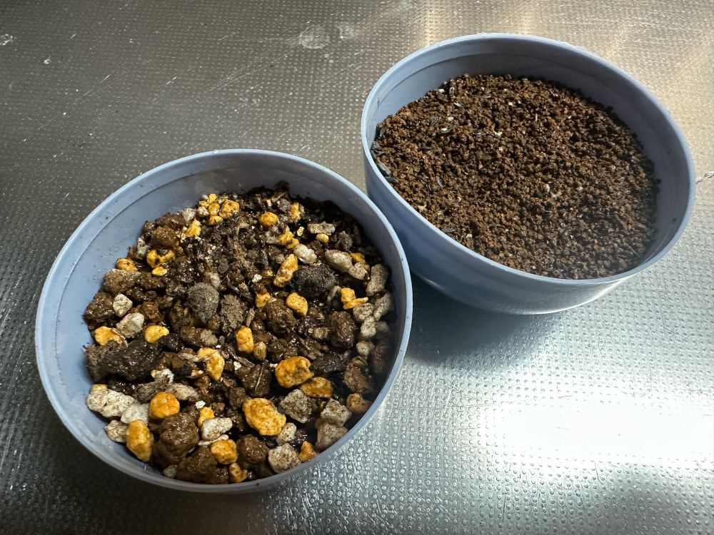 種まきから18日目。久しぶりに晴れた！嬉しくて布団も洗濯物もシーツも全部洗って干している。ついでにネットで調べた情報によると、発芽まで水をたっぷり与えてあげると良いとの事。乾燥は悪いらしい。日が昇るのを待って、朝方水やりを行った。発芽時期はもうすぐである。