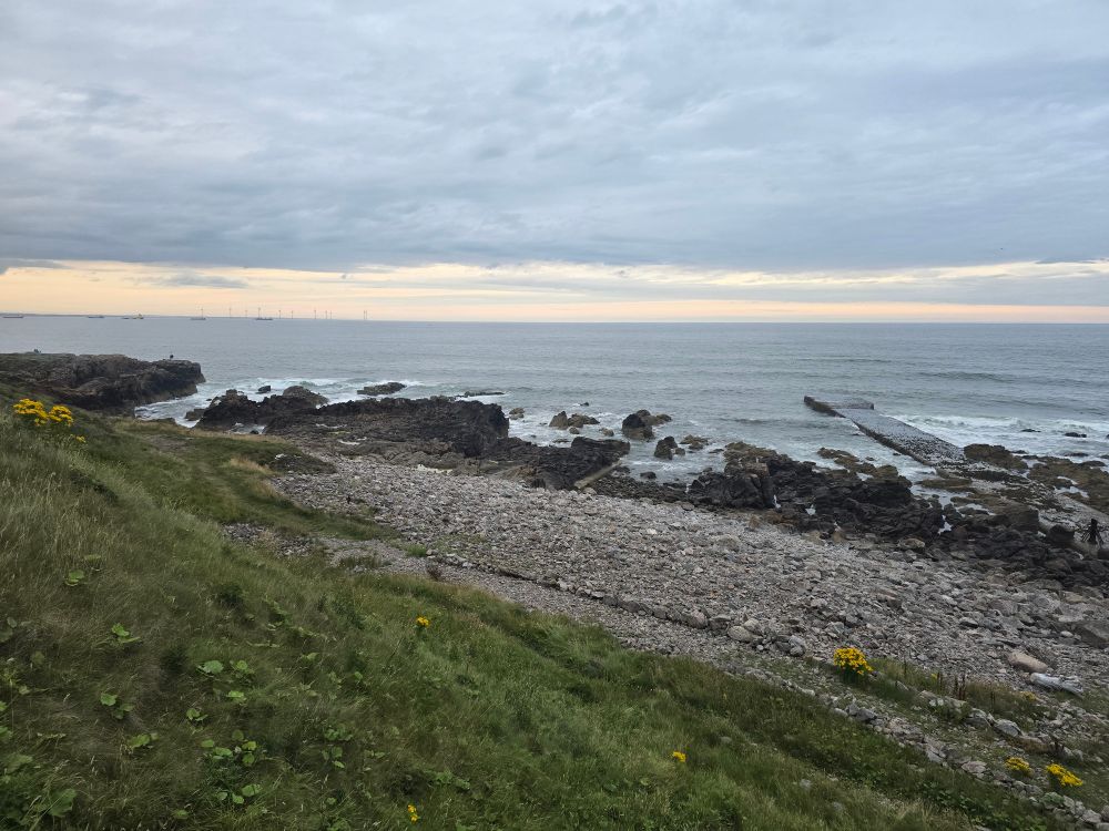 Looking northeast from the foghorn at Girdle Ness. There is a grass bank, pebbly beach and rocky outcrops. The sea and sky are silvery grey.