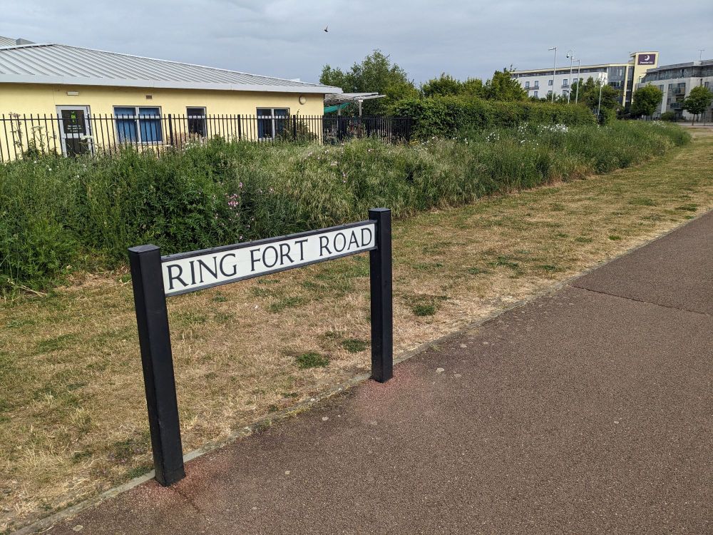 A free standing road sign reading 'Ring Fort Road' next to a tarmacked pavement and parched grass verge, with buildings beyond a fence in the background.