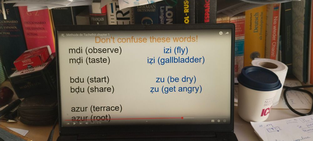 Tifawin! 👋🏽 Haciendo mis ejercicios matinales 😉