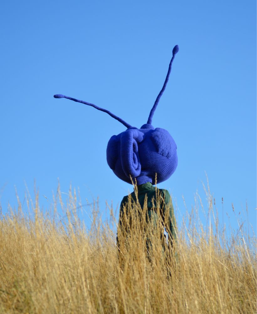 A person is standing in as dry field. The grass is yellowish. A clear blue sky is in the background. The person is wearing a green overall. He/She is wearing a Mask. The Mask is a huge blue head. The head has two long and thin antennas. It has two big hexagonal eyes. In the middle of the head is a very long and rolled up proboscis. The head is a big butterfly mask.