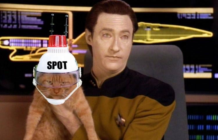 Data, with Spot, wearing a star trek helmet with Spot written on it. 