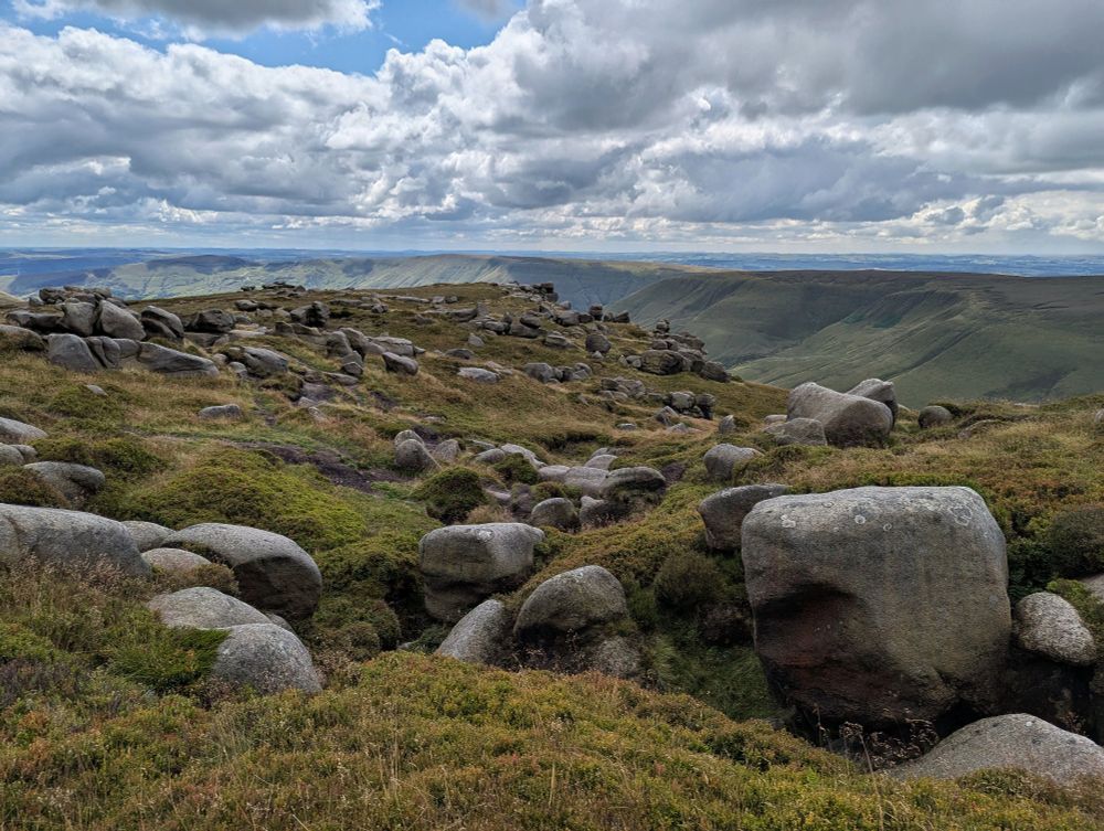 The Woolpacks
