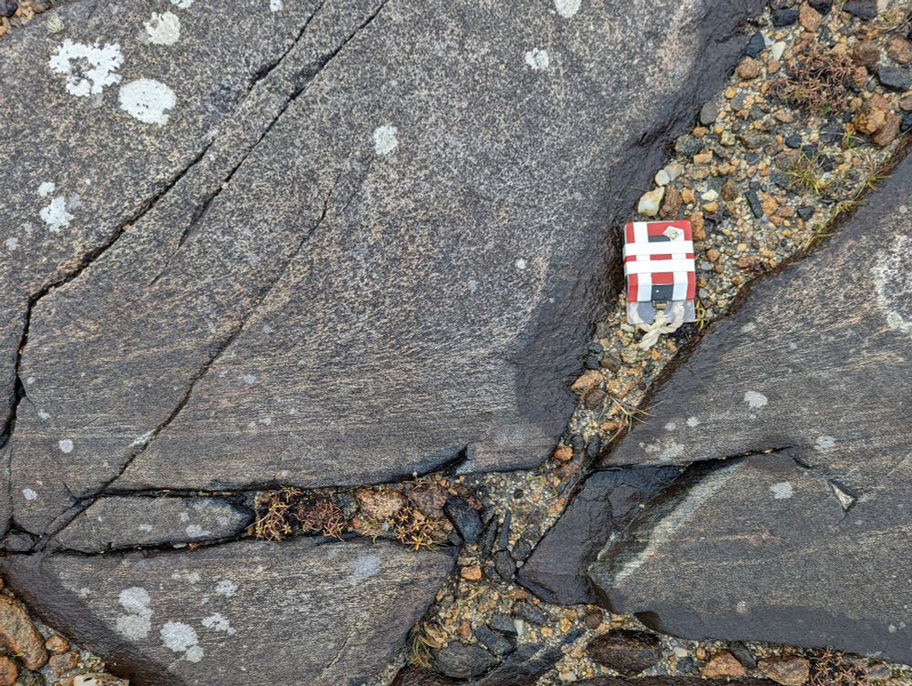 A grey meta gabbro shows speckled appearance towards top of the photo. The minerals become elongate and to define a curved tectonic fabric which becomes smeared out in a shear zone seen in the lower part of the photo. 
Seen on the west coast of the Isle of Lewis.