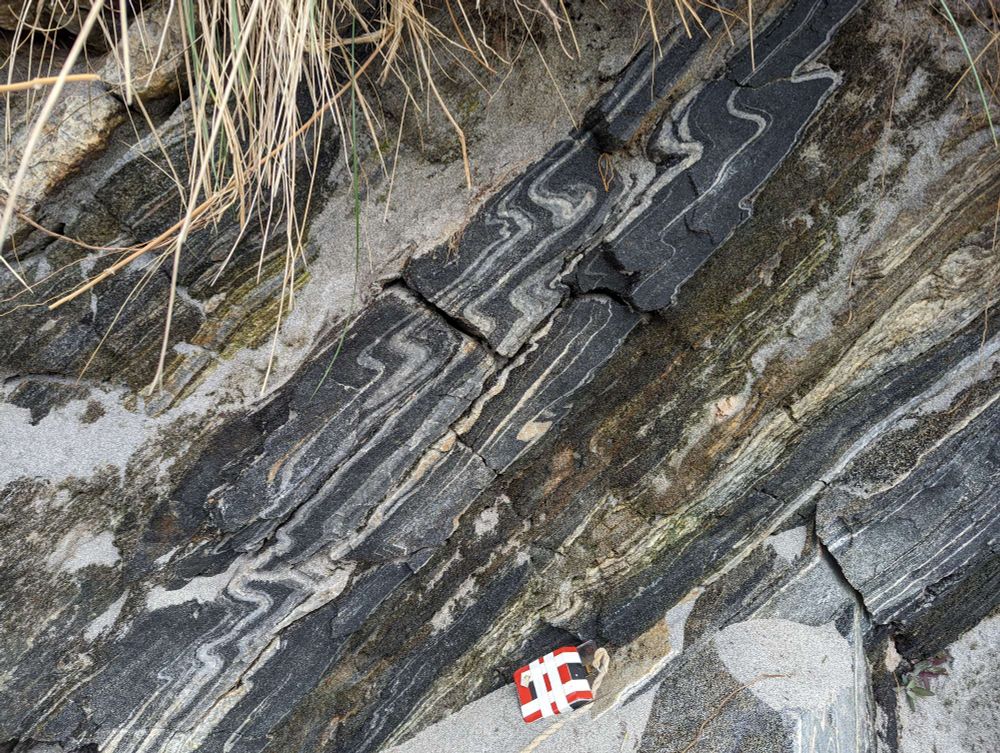 Banded black, grey and white gneiss shows minor S shaped folds in sheared Lewisian gneiss.
Berneray, Outer Hebrides.